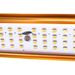 LED 1000W GOLD PRO EVO MJ3 3.1