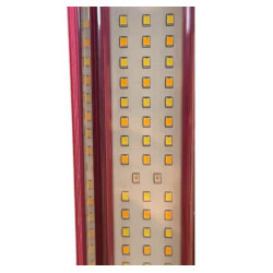 LED 1000W VENOM F5 MJ3 3.14