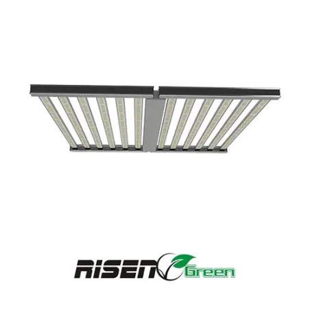 LED 1500W PRO Lighting RisenGreen