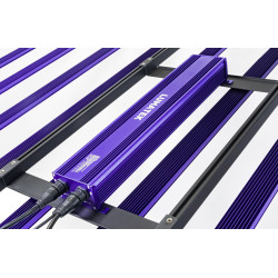LED 1000W Zeus Pro EVO 3.1 Lumatek