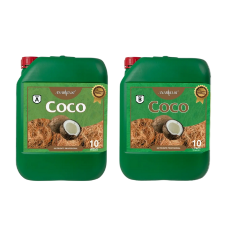 Coco A+B Anarkia81