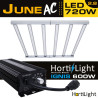 LED 720W  June AC Six Bar HORTILIGHT