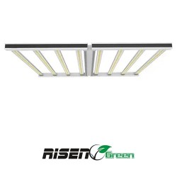 LED 1000W PRO Lighting RisenGreen