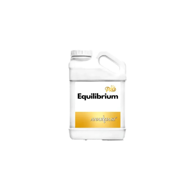 Equilibrium Anarkia81 Equilibrium Anarkia81