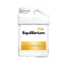 Equilibrium Anarkia81