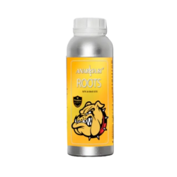 Roots Anarkia81