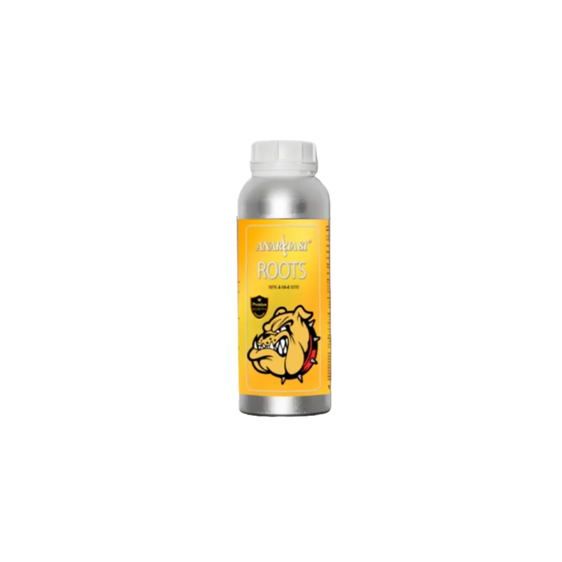 Roots Anarkia81 Roots Anarkia81