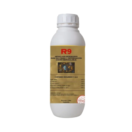 R9 Anarkia81