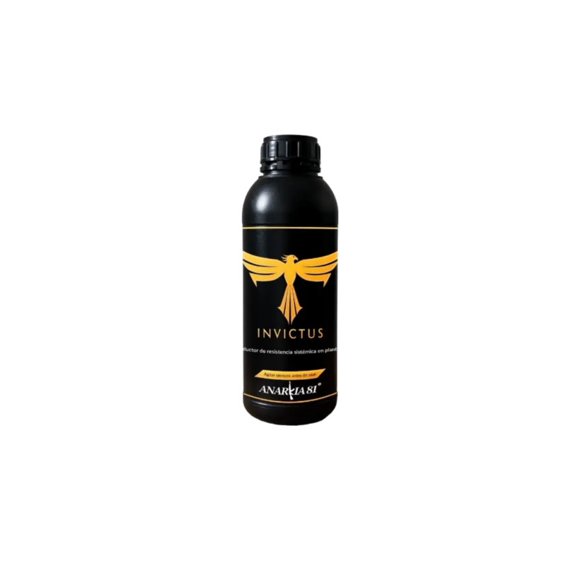 Invictus Anarkia81 Invictus Anarkia81