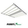 LED 1000W PRO Lighting RisenGreen