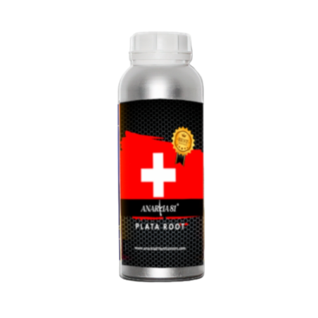 Plata Root Anarkia81