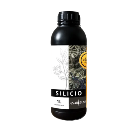 Silicio Anarkia81