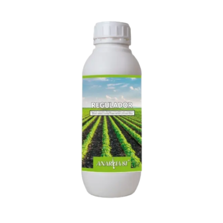 Regulator Anarkia81