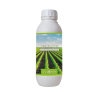 Regulator Anarkia81