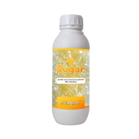More Sugar Anarkia81