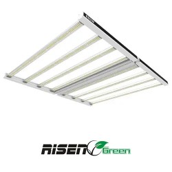 LED 880W PRO Ligting RisenGreen