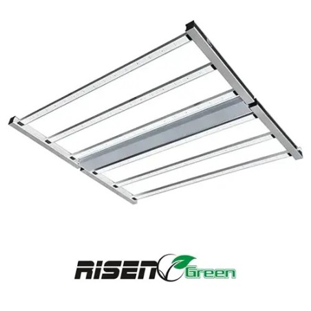 LED 660W PRO LIGTING RISENGREEN