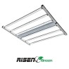 LED 660W PRO LIGTING RISENGREEN