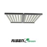 LED Pro Lightning RisenGreen