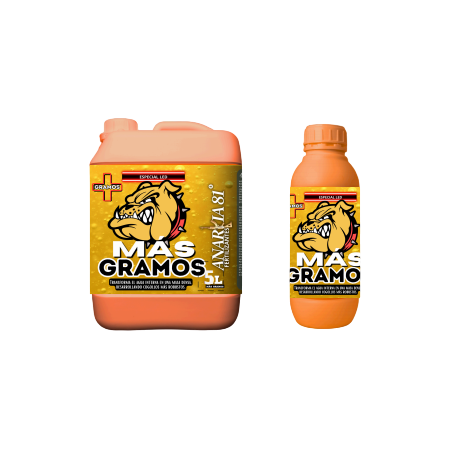 Más Gramos Anarkia81