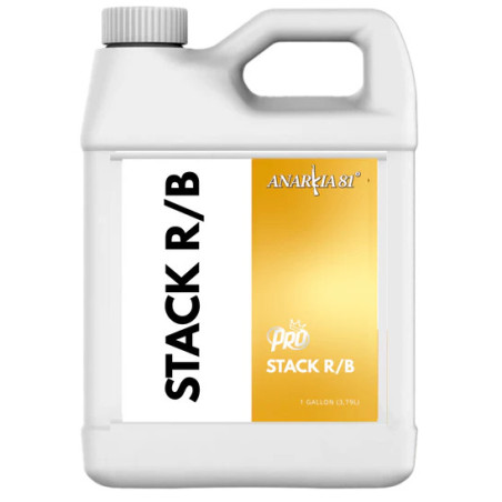Stack R/B Anarkia 81