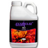 K2 Flower Anarkia81