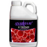 XTreme Anarkia81