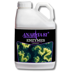 Enzymes Anarkia81