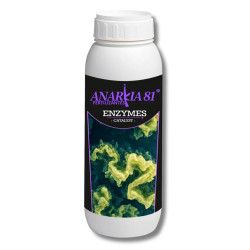 Enzymes Anarkia81